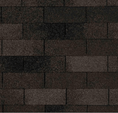 Forest gray Forest gray