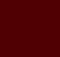 RR 29 RR 29